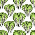 Vector hand drawn seamless pattern of chinese cabbage. Farm vegetables.