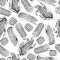 Vector hand drawn seamless pattern of corn cobs. Farm vegetables. Engraved art. Organic sketched objects. Royalty Free Stock Photo