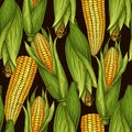 Vector hand-drawn seamless pattern with corn cobs Royalty Free Stock Photo