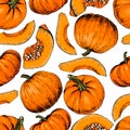 Vector hand drawn seamless pattern of pumpkins. Farm vegetables. Engraved colored art. Organic sketched object Royalty Free Stock Photo