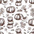 Vector hand drawn seamless pattern sketch pumpkin, leaves, flowers and seeds.