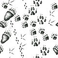 Vector hand drawn seamless pattern with walking wild wood animal and bird tracks Royalty Free Stock Photo