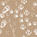 Vector hand drawn seamless pattern with walking wild wood animal and bird tracks Royalty Free Stock Photo