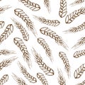 Vector hand drawn seamless pattern of wheat,barley cereals, grains. Isolated on white background.