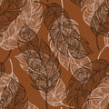 Vector hand drawn seamless patterns with feathers Royalty Free Stock Photo
