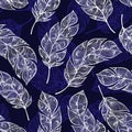 Vector hand drawn seamless patterns with feathers Royalty Free Stock Photo