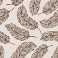 Vector hand drawn seamless patterns with feathers Royalty Free Stock Photo