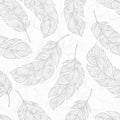 Vector hand drawn seamless patterns with feathers Royalty Free Stock Photo