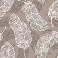 Vector hand drawn seamless patterns with feathers Royalty Free Stock Photo