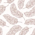 Vector hand drawn seamless patterns with feathers Royalty Free Stock Photo