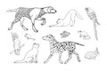 Vector hand drawn set of black outline pets Royalty Free Stock Photo