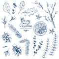 Vector hand drawn set of Christmas natural herbal elements. Mist
