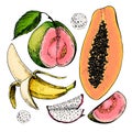 Vector hand drawn set of exotic fruits. Isolated papaya, pitaya, banana, guava. Engraved colored art. Delicious tropical vegetaria