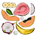 Vector hand drawn set of exotic fruits. Isolated papaya, pitaya, banana, guava. Engraved colored art. Delicious tropical vegetaria