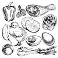 Vector hand drawn set of farm vegetables. Isolated bell pepper, chicken, leg, eggs, onion. Engraved art. Organic sketched objects.