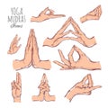 Vector hand drawn set of mudras. Isolated on white. Yoga. Spirituality