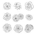 Vector hand drawn set of rose, camellia, peony and chrysanthemum flowers outline isolated on the white background. Floral decor Royalty Free Stock Photo