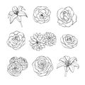 Vector hand drawn set of rose, lily, peony and chrysanthemum flowers contours isolated on the white background. Vintage