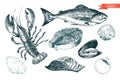 Vector hand drawn set of seafood icons. Lobster, salmon, fillet and clams. Engraved art. Delicious food menu objects.