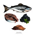 Vector hand drawn set of seafood icons. salmon fillet, slice and caviar. Engraved colored art. Delicious food sketched objects.