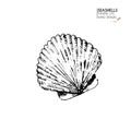 Vector hand drawn set of seashells. Isolated starfish. Underwater animal life. Tropical scallop on white. Engraved art.