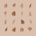 Vector hand drawn set of various silhouette branches with abstract tropical leaves and botanical element collection with pastel