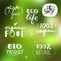 Vector hand drawn set of vegan and natural labels. Ecological and organic food.