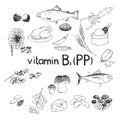 Vector hand-drawn set of vitamin B3 (PP) source foods. Dietetic organic nutrition. Doodle vector illustration