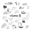 Vector hand-drawn set of vitamin B2 source foods. Dietetic organic nutrition. Doodle vector illustration with natural healthy