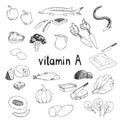 Vector hand-drawn set of vitamin A source foods. Dietetic organic nutrition. Doodle vector illustration with natural healthy