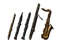 Woodwind musical instruments set Royalty Free Stock Photo