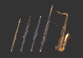 Woodwind musical instruments set Royalty Free Stock Photo