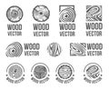 Vector Hand drawn sketch of abstract wood texture illustration on white background