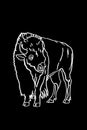 Vector hand drawn sketch of bison on black,graphical illustration. Bull