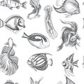 Vector hand drawn sketch Card with aquarium fish. Discus, Scalaria, Zanclidae, Paracanthurus hepatus