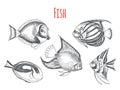 Vector hand drawn sketch Card with aquarium fish. Discus, Scalaria, Zanclidae, Paracanthurus hepatus