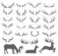 Vector Hand drawn sketch of deer horns illustration on white background Royalty Free Stock Photo