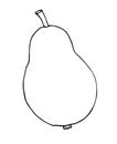 Vector hand drawn sketch doodle outline pear