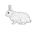 Vector hand drawn sketch doodle rabbit