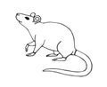 Vector hand drawn sketch doodle rat mouse Royalty Free Stock Photo