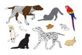 Vector hand drawn sketch doodle set of pets Royalty Free Stock Photo