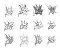 Vector Hand drawn sketch of flower symbols illustration on white background Royalty Free Stock Photo