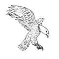 Vector hand drawn sketch flying eagle