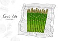 Sous-Vide sketch illustration of asparagus