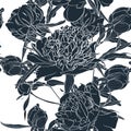 Vector hand drawn sketch illustration of dark blue peony flowers seamless pattern. Royalty Free Stock Photo