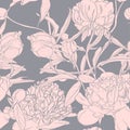 Vector hand drawn sketch illustration of pink peony flowers seamless pattern. Floral grey background, Royalty Free Stock Photo