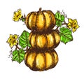 Vector hand drawn sketch pumpkin leaves, flowers.