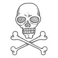 Vector Hand Drawn Sketch Skull and Crossbones