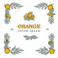 Vector hand drawn square frame elements of leaves and orange fruit. Vintage illustration. Logo template