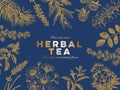 Vector hand drawn tea herb Illustration. Royalty Free Stock Photo